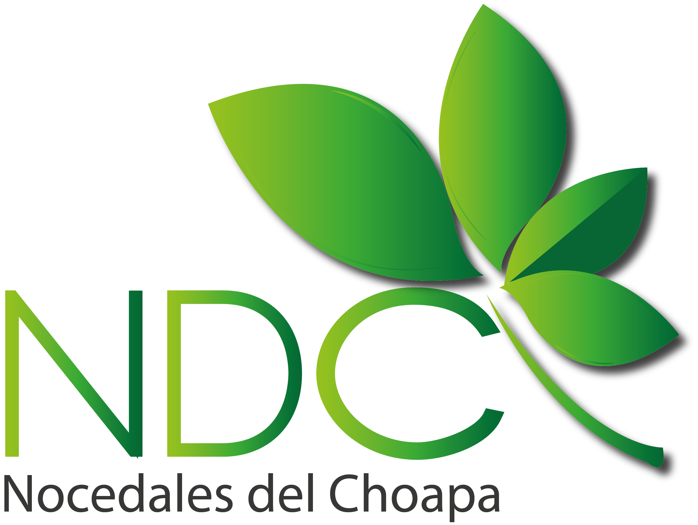 logo nocedales del choapa